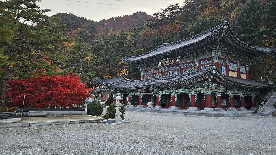 칠성산 사진 5