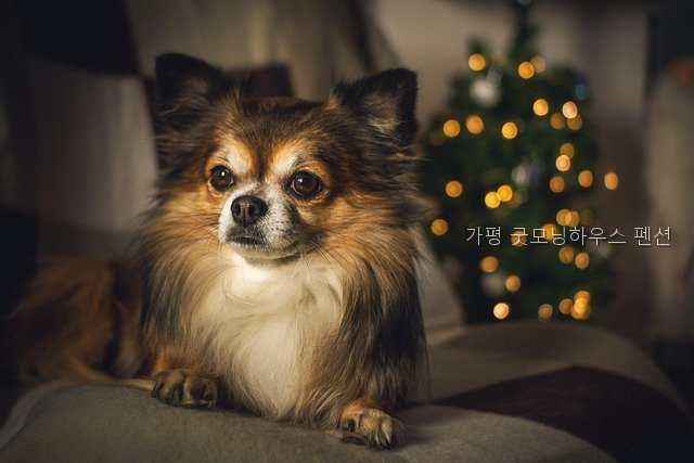 굿모닝하우스 사진 3
