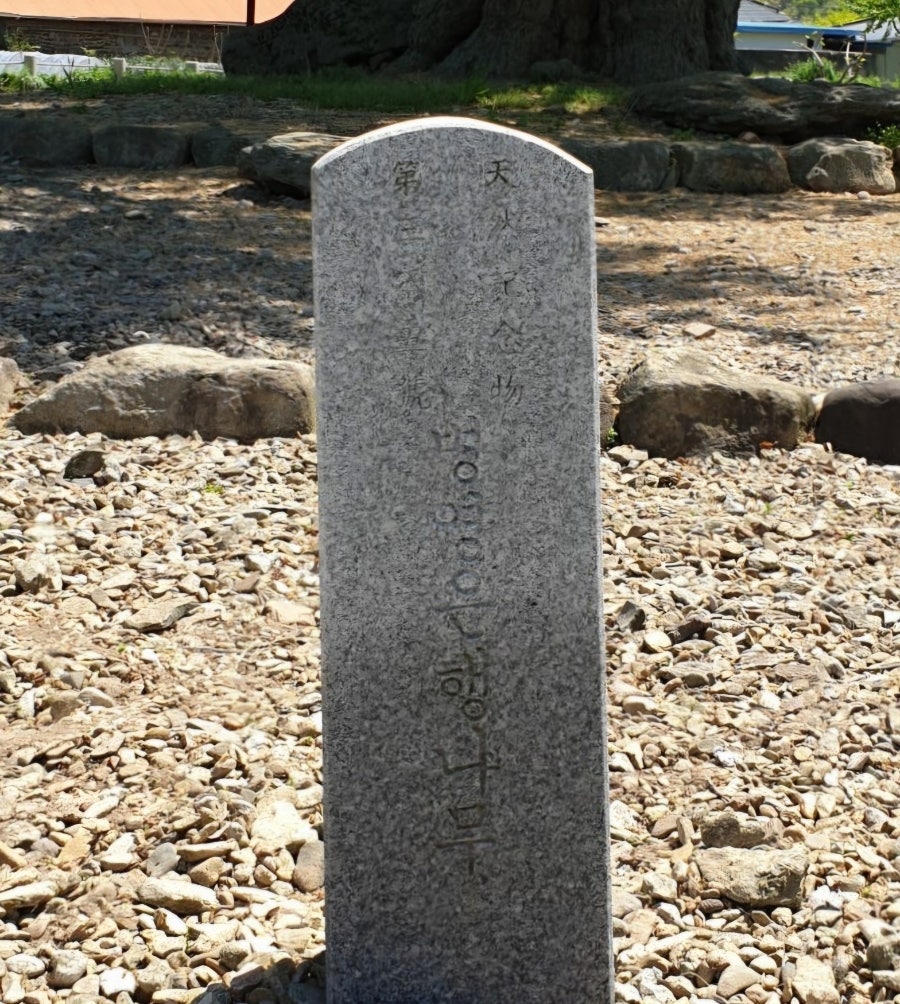 덕룡산 사진 1
