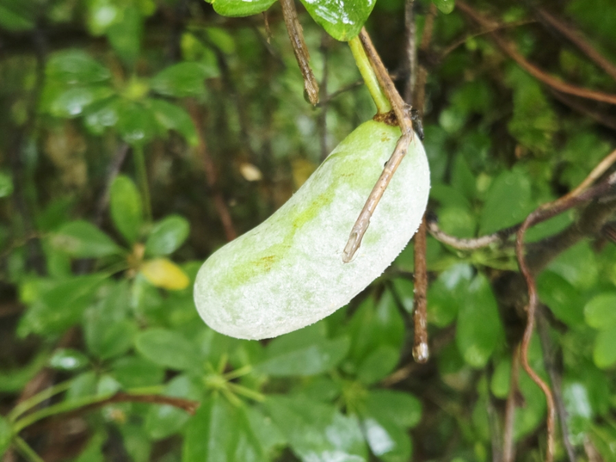 태봉산 사진 5