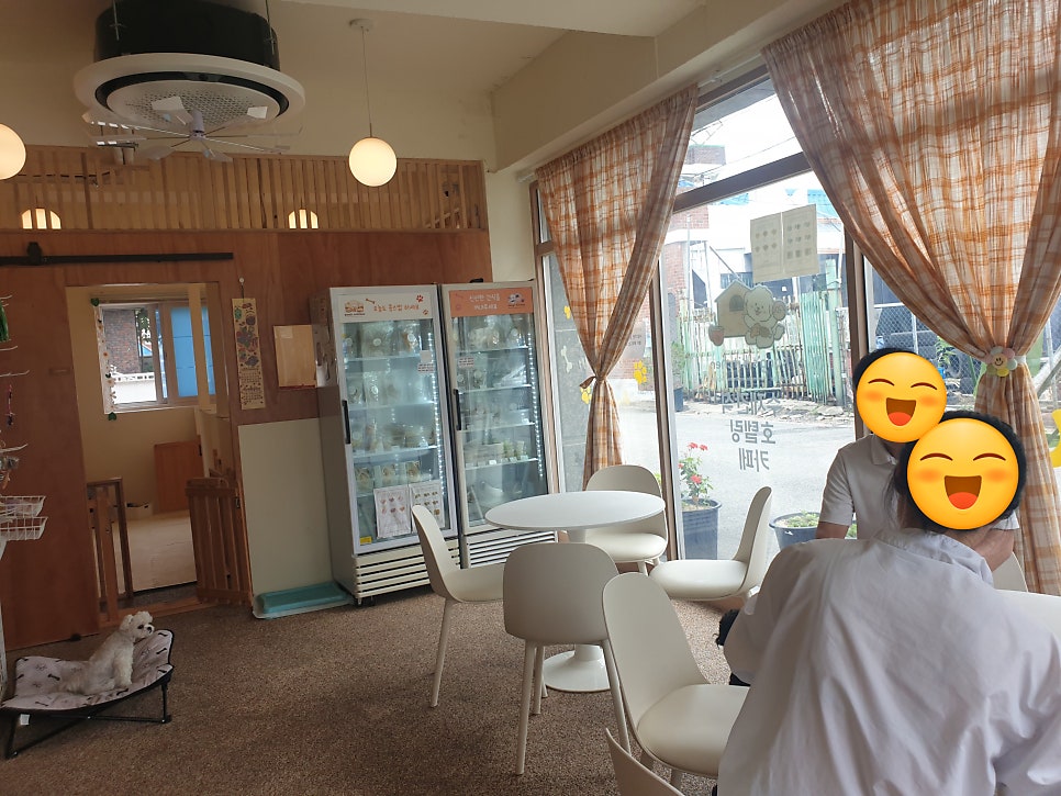 콩스키친 사진 3