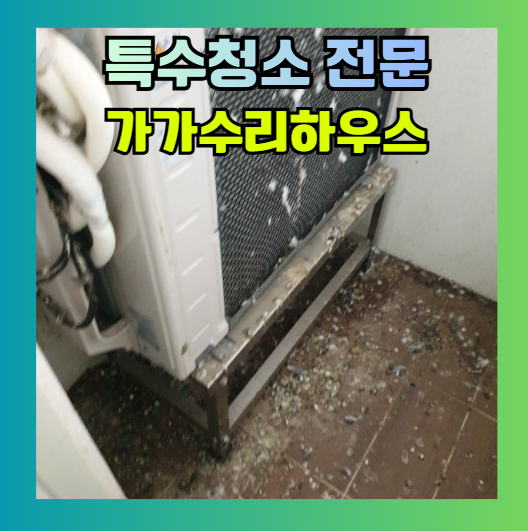 에어컨 실외기실 비둘기 똥 청소 소독 비둘기퇴치망 방충망 설치 업체