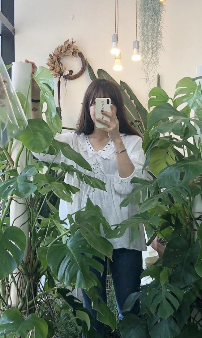 호호바다 사진 2