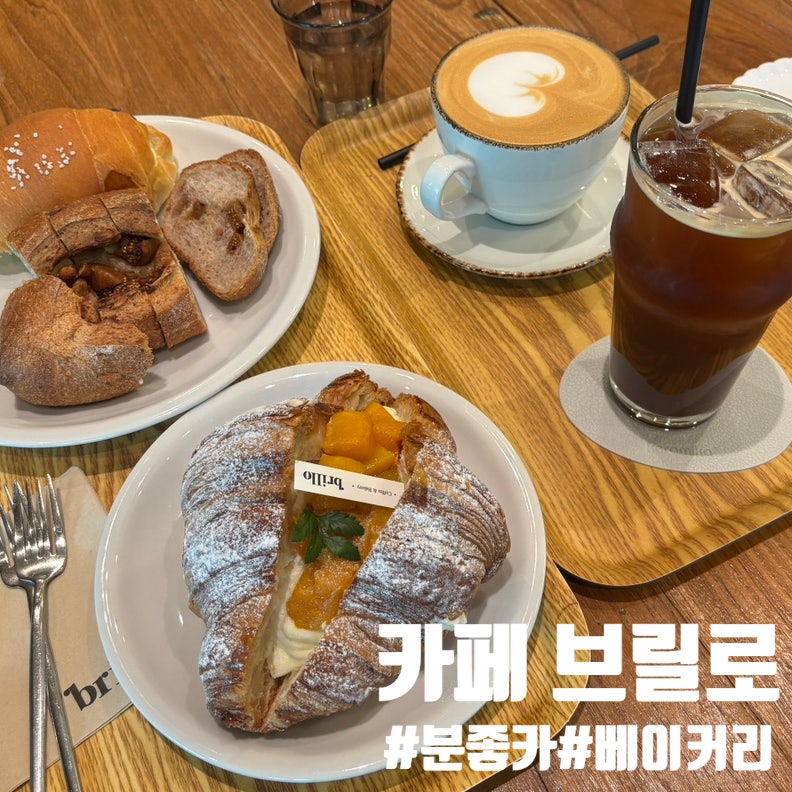 브릴로 사진 1