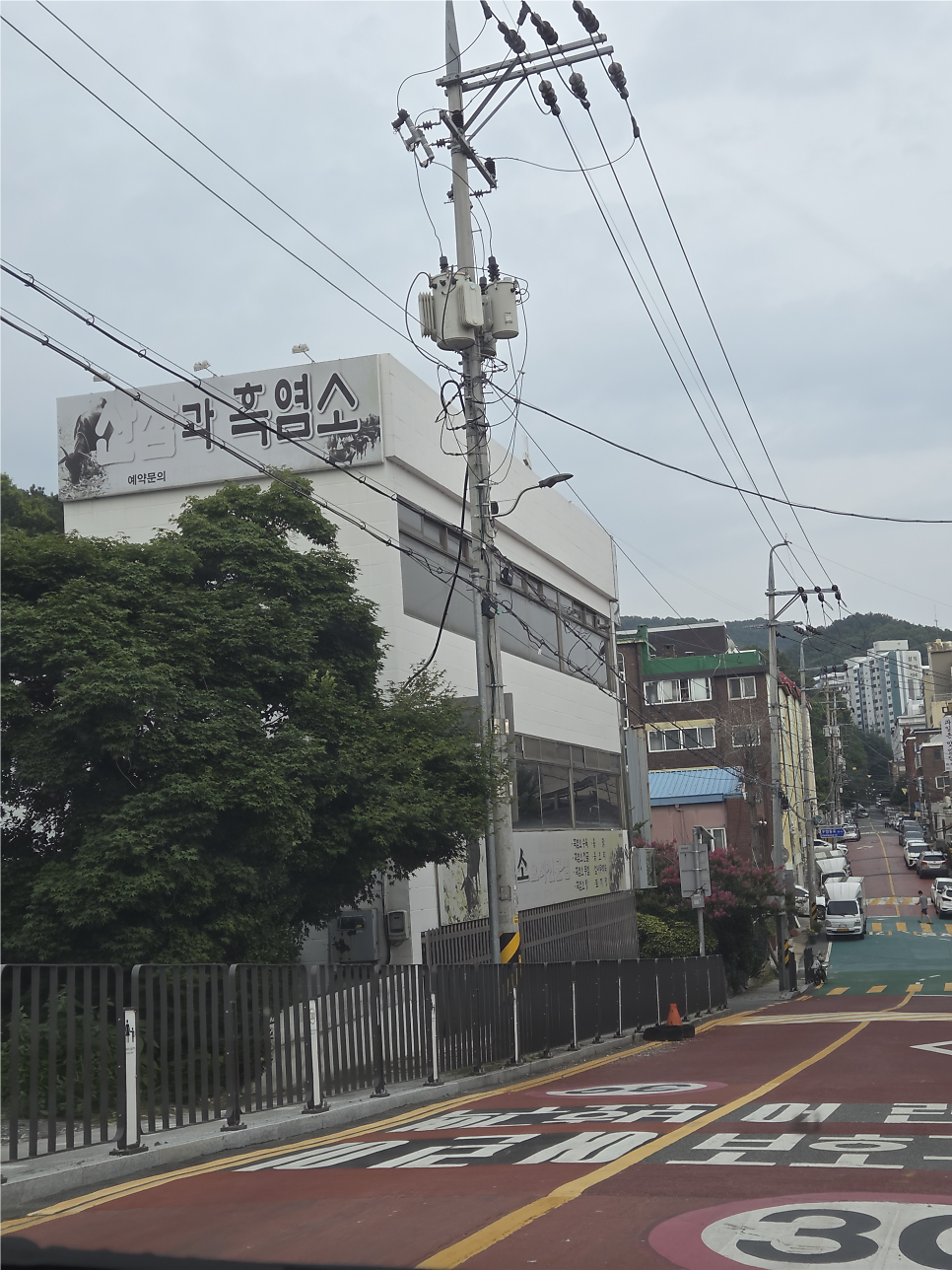 산삼과흑염소 사진 1