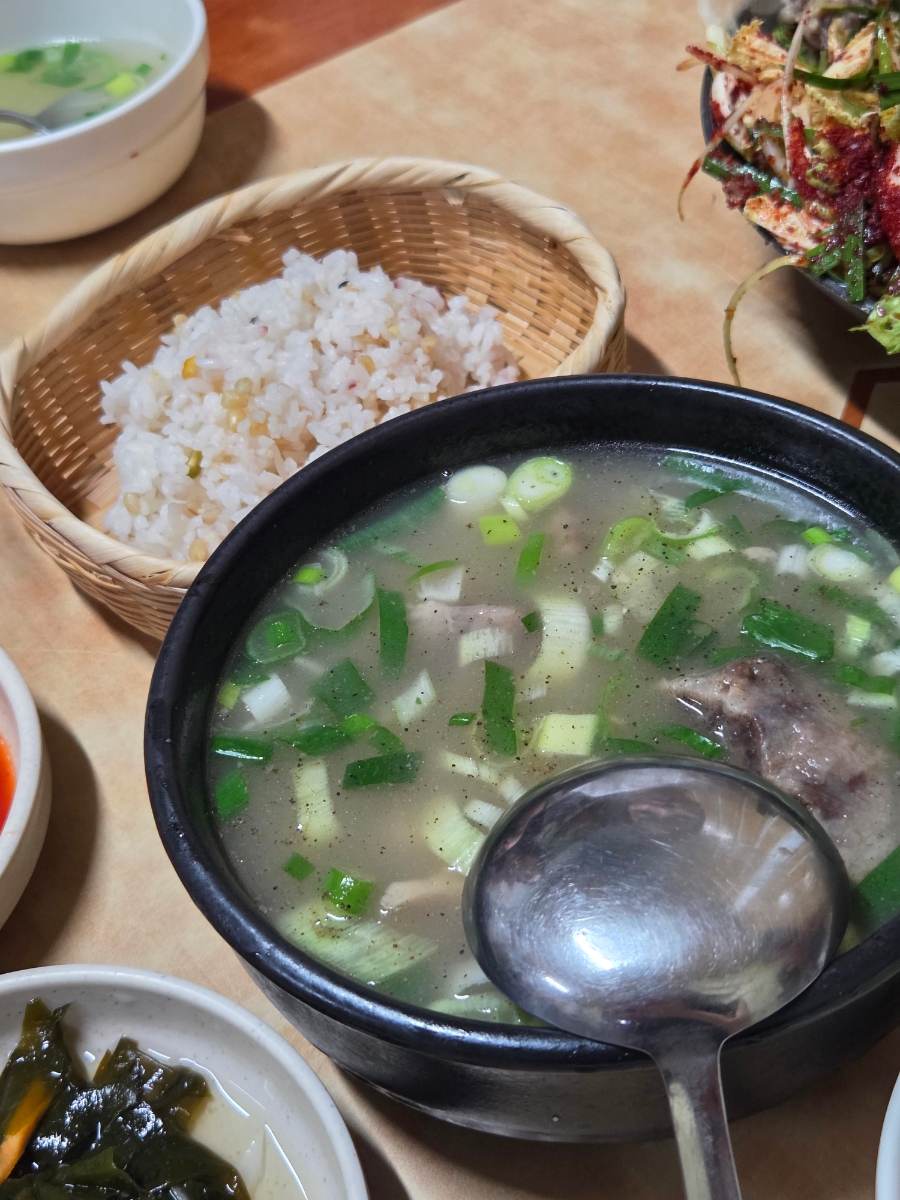 영미 사진 5