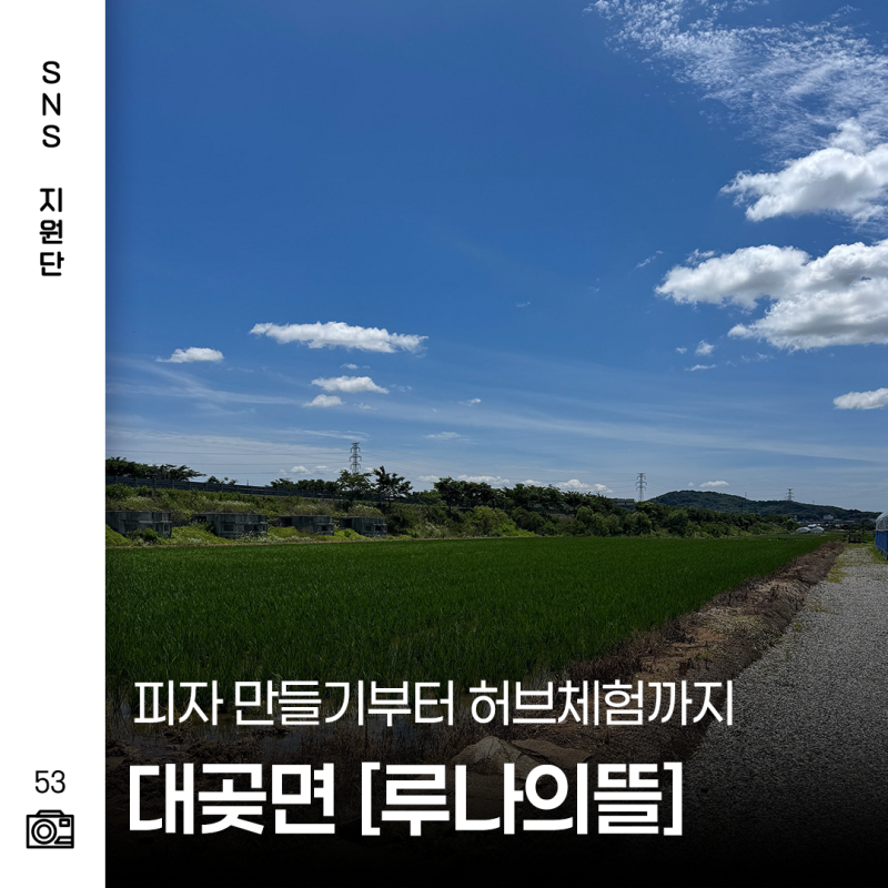 김포 농촌투어 패스 추천 코스 | 루나의 뜰 토마토피자 체험까지 즐긴 하루