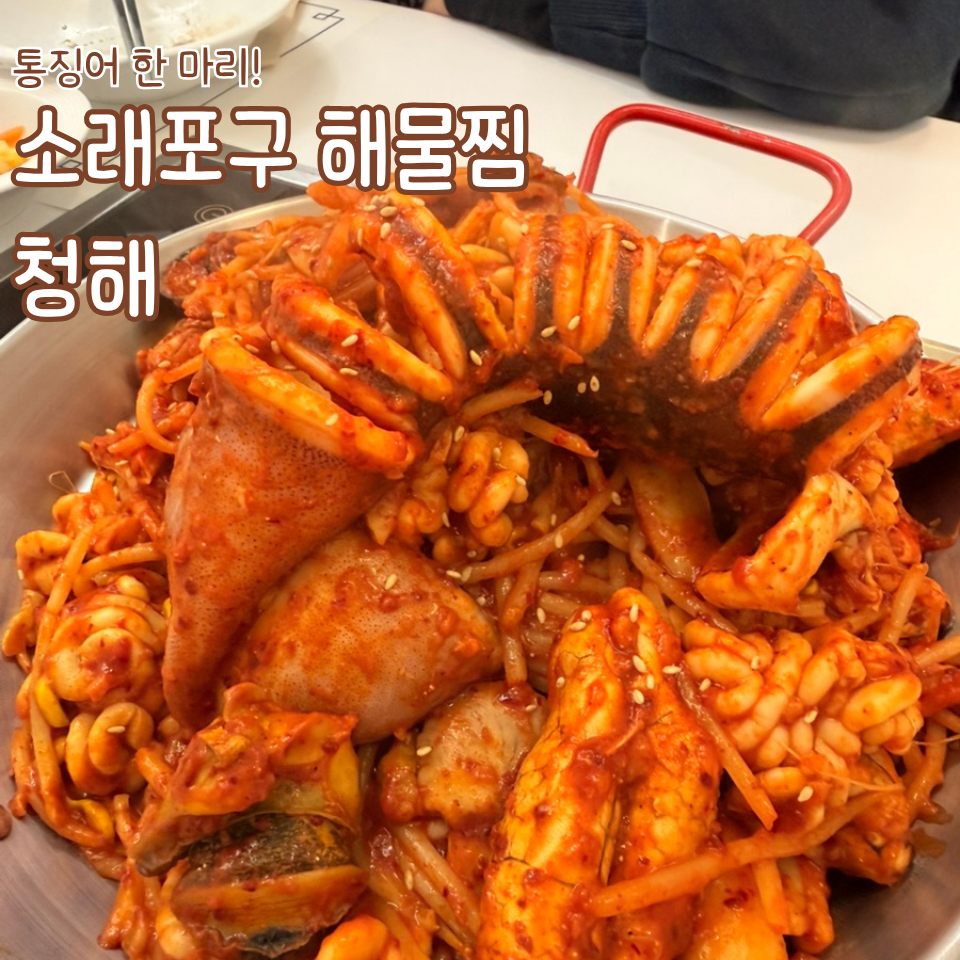 청해 사진 1