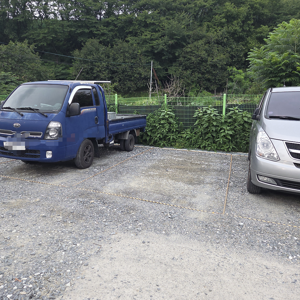 산삼과흑염소 사진 3