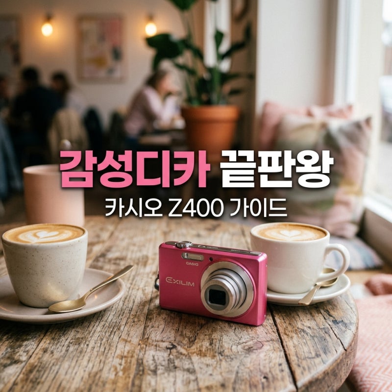 카시오 엑슬림 z400 빈티지 디카 가이드 작례와 SD카드 충전기