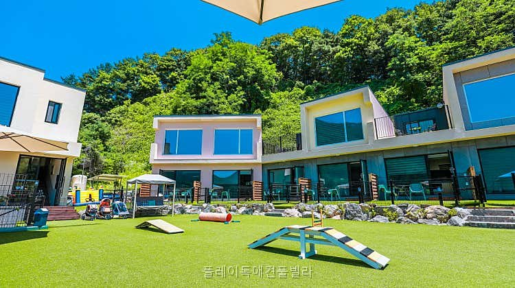 플레이독애견풀빌라 사진 1