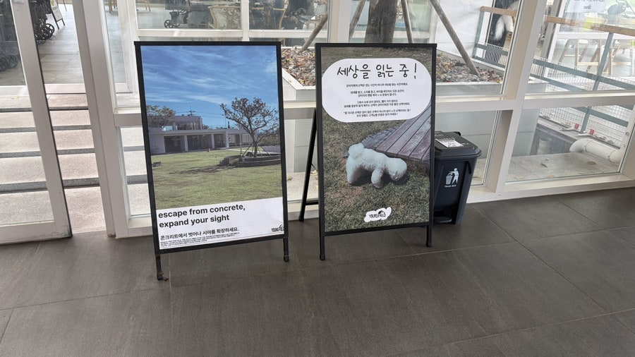 영필드 사진 5
