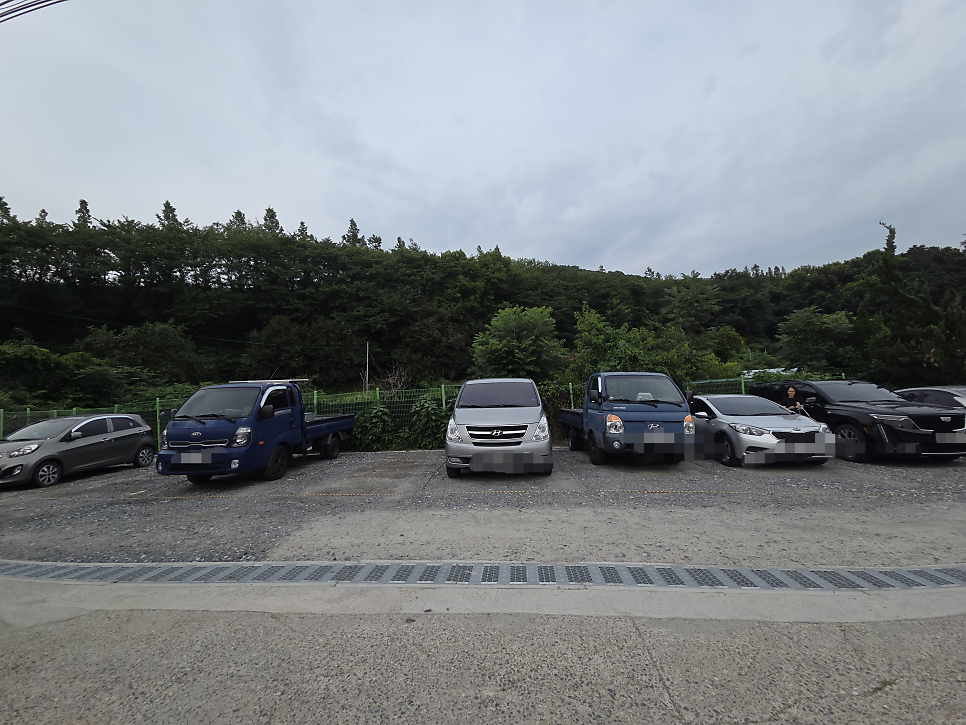 산삼과흑염소 사진 2