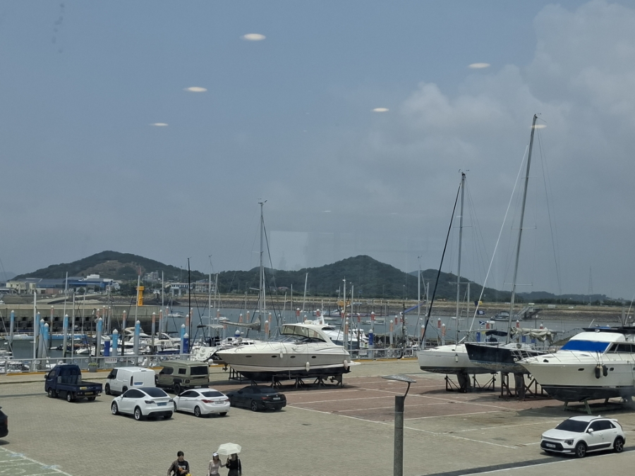 보트랑 사진 4