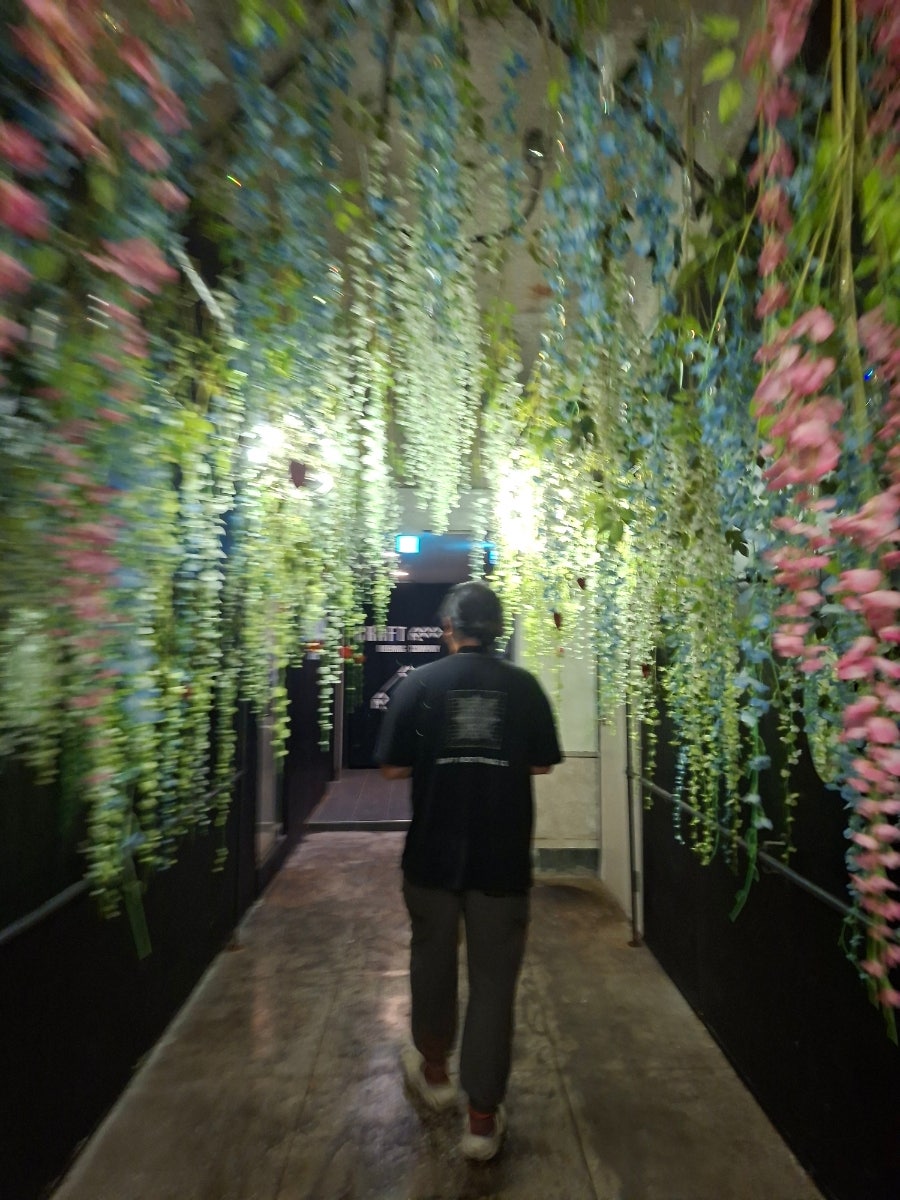 속초맥주 사진 4