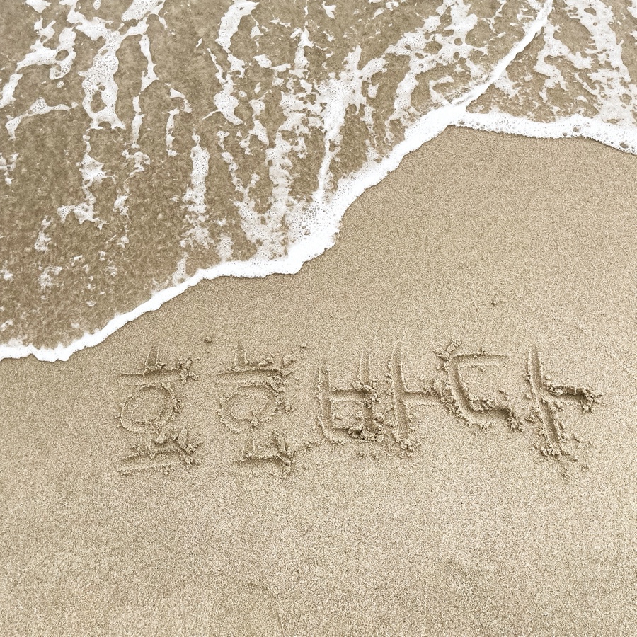 호호바다 사진 1