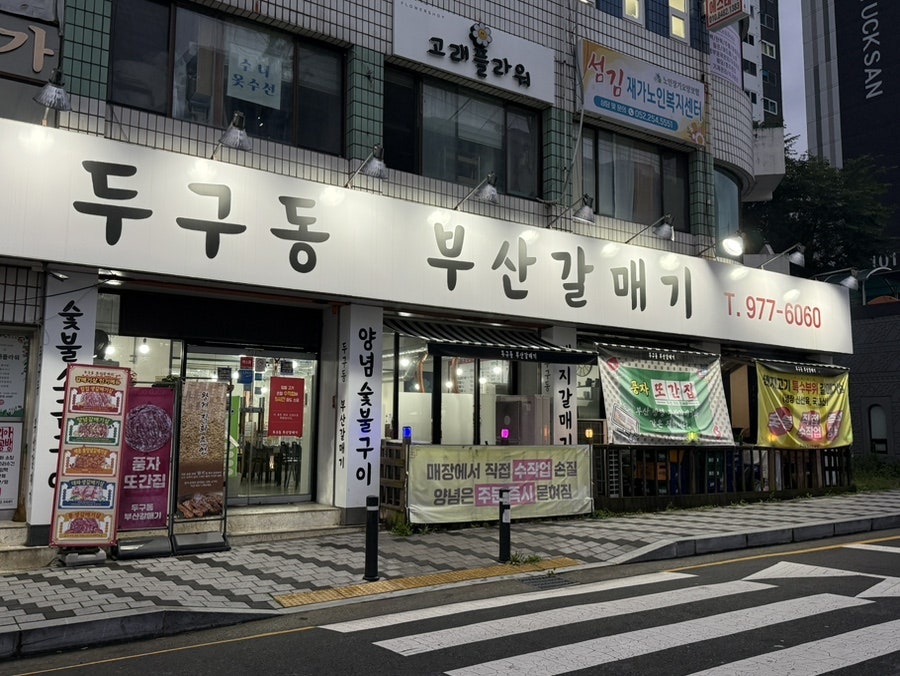 두구동부산갈매기 사진 2