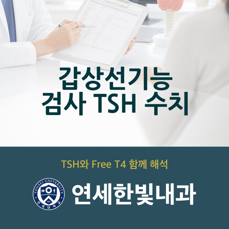 대전 시청역 갑상선 기능 검사 TSH 수치, 결과지에서 먼저 볼 부분