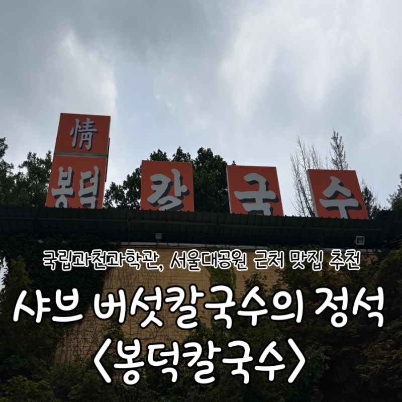 과천과학관, 서울대공원 맛집 추천 | 샤브 버섯칼국수 ‘봉덕칼국수’