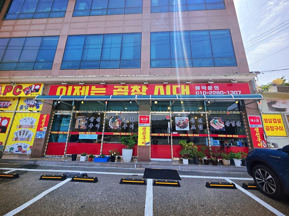 Ijeneungopchangsidae photo 1