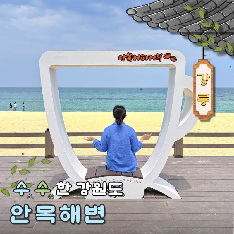 강릉 안목해변 개장일 놀거리 보트 주차장