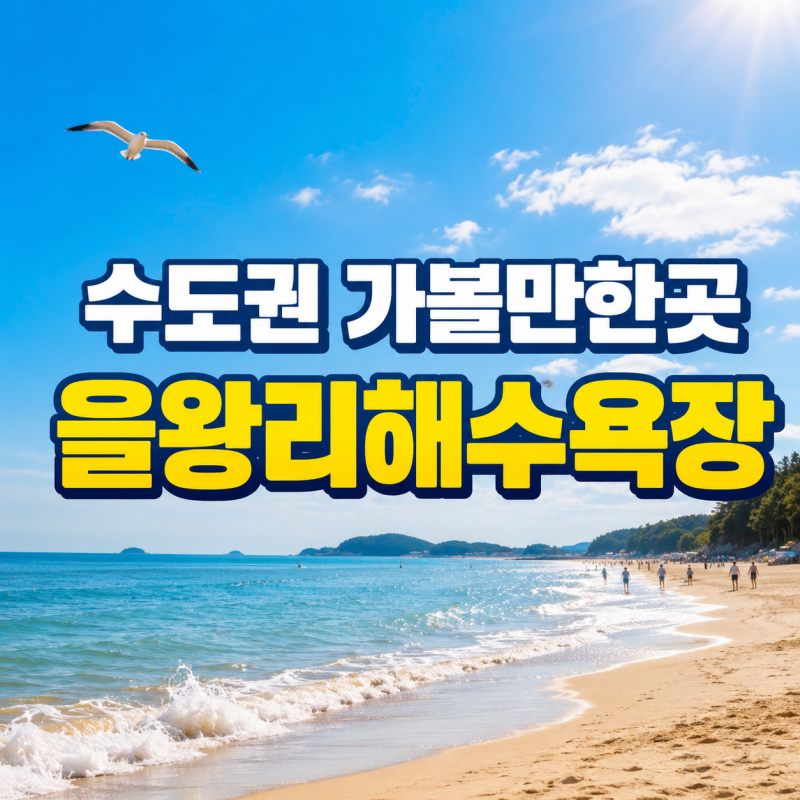 인천 갈만한곳 | 영종도 을왕리해수욕장 가족 나들이를 위한 완벽 가이드