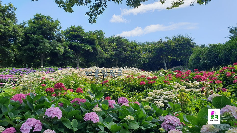 정원 사진 2