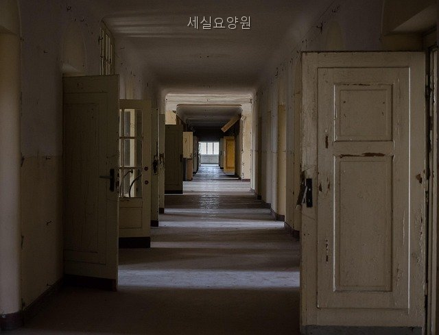 세실요양원 사진 3