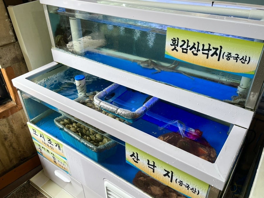 고창복의낙지세상 봉천점 사진 5