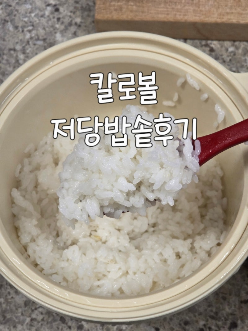 칼로볼저당밥솥 찐사용후기 저당밥솥사용법