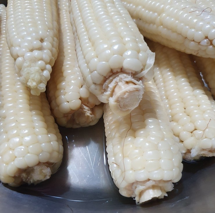 찰옥수수 삶는법 삶는시간 냄비에 맛있게 삶기