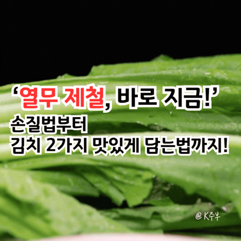 열무 제철, 바로 지금! "2가지 김치 요리 손질법, 담는법" 완벽 정리
