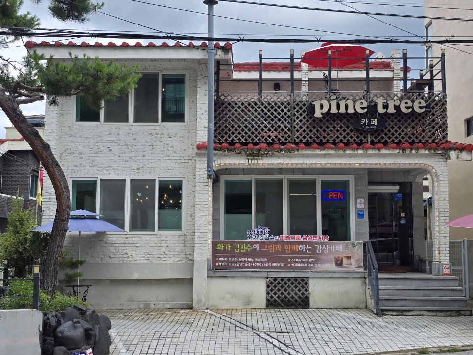 파인트리 사진 2