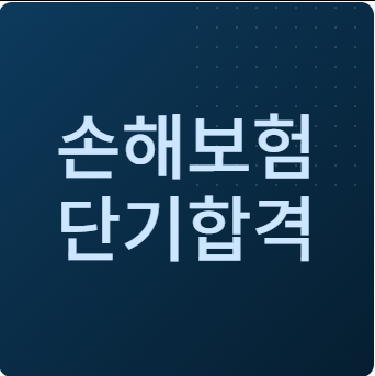 손해보험설계사 시험 단기합격 핵심요약 모의문제 정리 이 자료 하나로 끝 (합격생 후기)