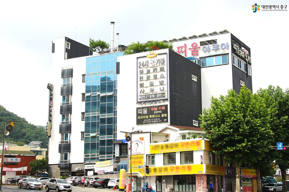 띠울하늘카페 사진 1
