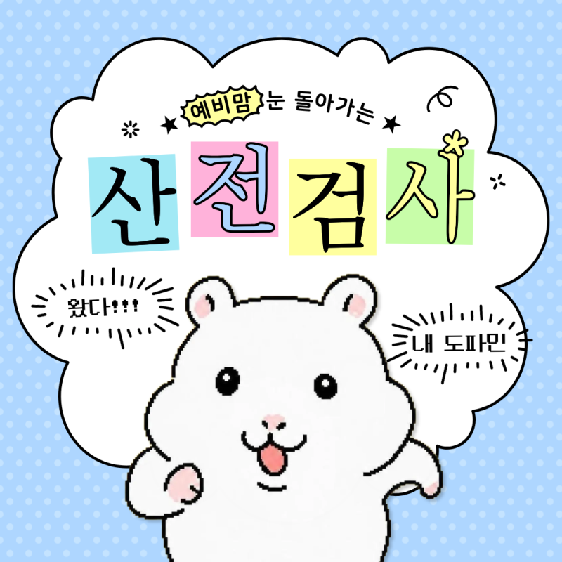 [임신준비] 구리보건소 산전검사 후기
