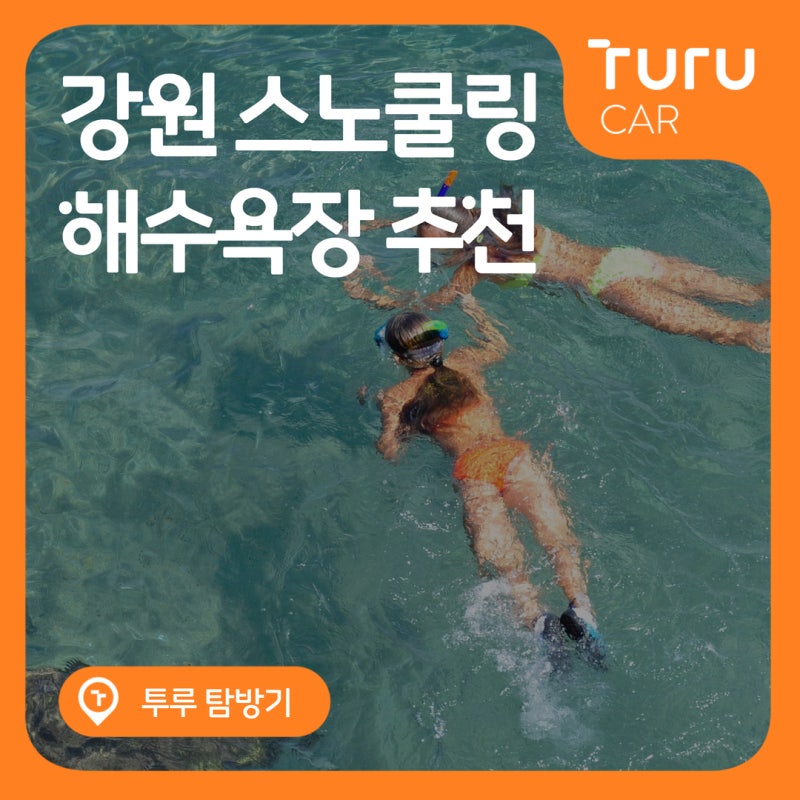 투루카와 함께 떠나기 좋은 강원도 스노쿨링 해수욕장 추천 TOP 4