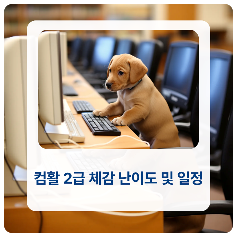 컴퓨터활용능력2급시험일정 및 체감 난이도 총정리 (딱 2주 단기 합격법)