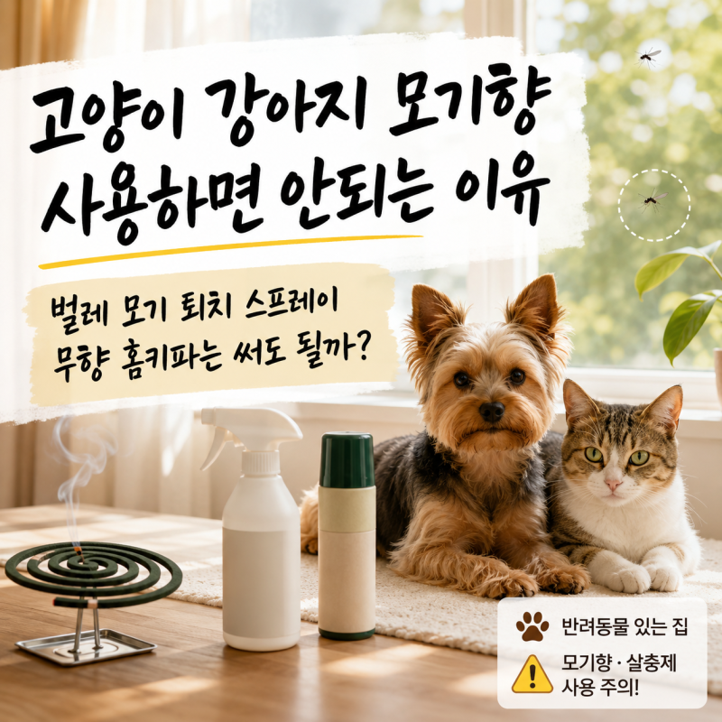 고양이 강아지 모기향 사용하면 안되는 이유, 벌레 모기 퇴치 스프레이 무향 홈키파는 써도 ....