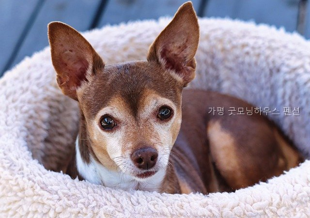 굿모닝하우스 사진 4