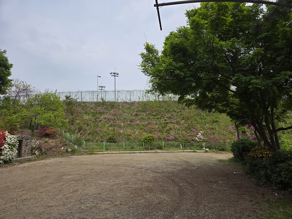 칠보산토종닭 사진 2