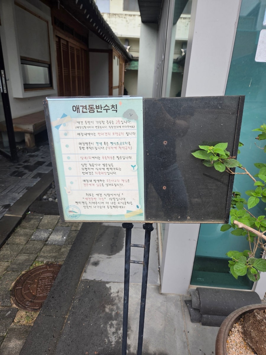 치도 사진 5