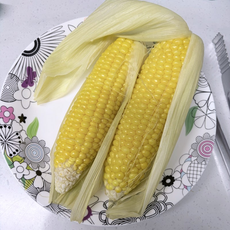 초당옥수수 찌는법 전자레인지보다 맛있는 냄비 찌기 시간 총정리