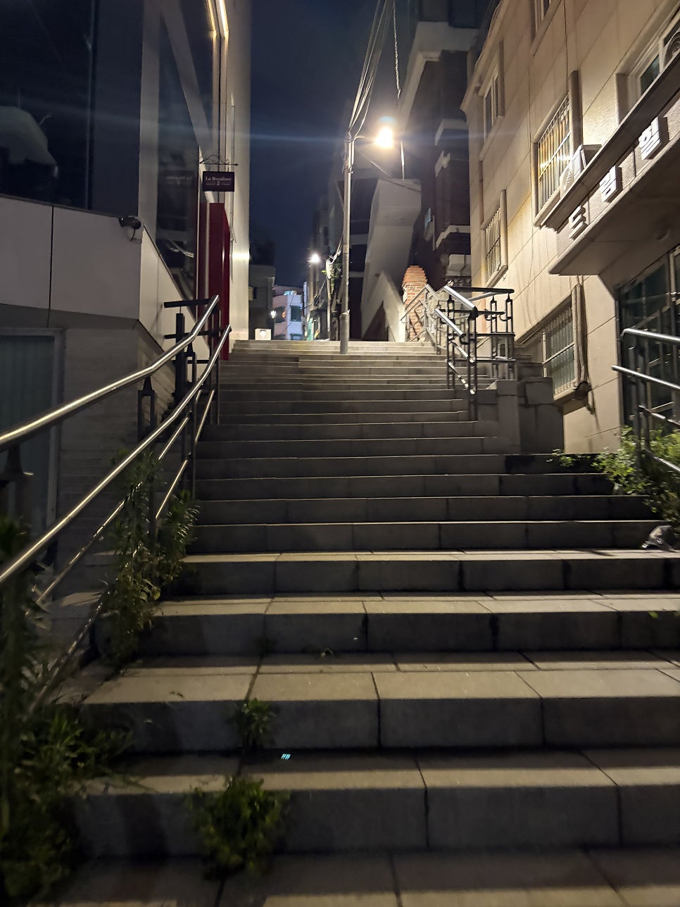 코브 사진 2