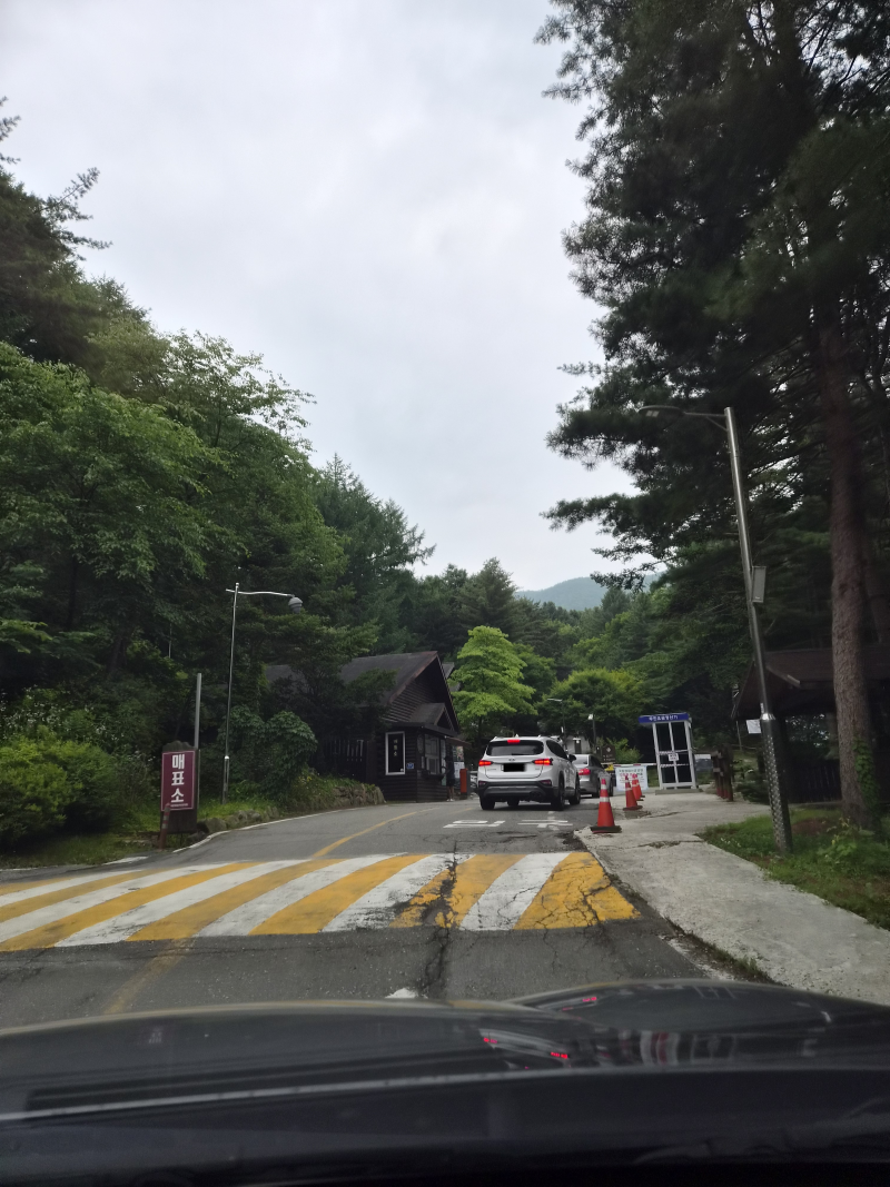 청태산자연휴양림 숲속의집 낙엽송 후기