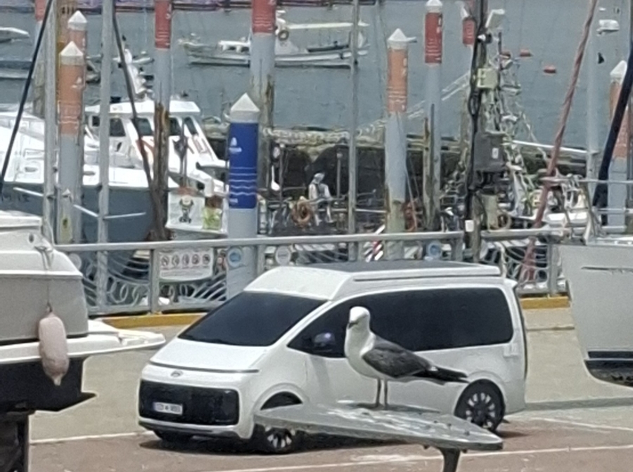 보트랑 사진 6