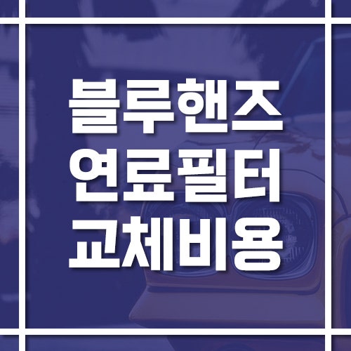 현대 블루핸즈 연료 필터 교체 비용 및 공임 가격 (디젤과 가솔린)