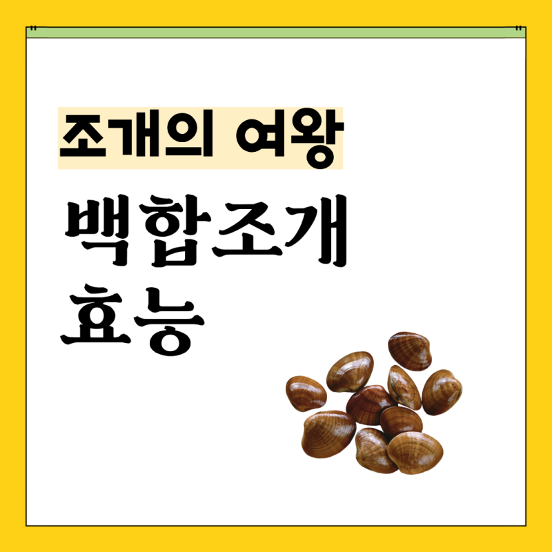 '조개의 여왕' 백합조개 효능 5가지와 제철, 실패 없는 해감법까지 총정리