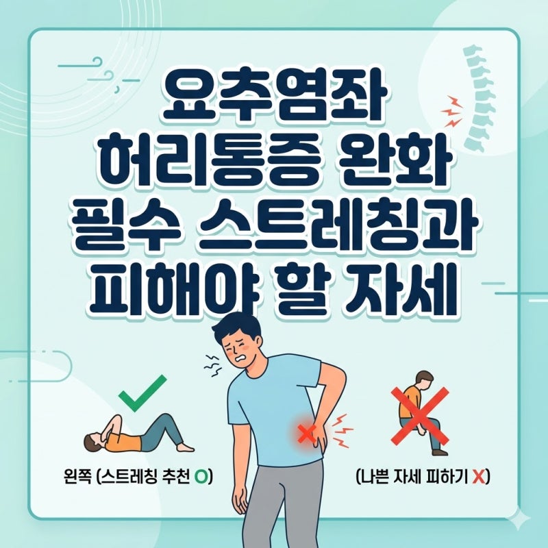 요추염좌 허리통증 완화 필수 스트레칭과 피해야 할 자세