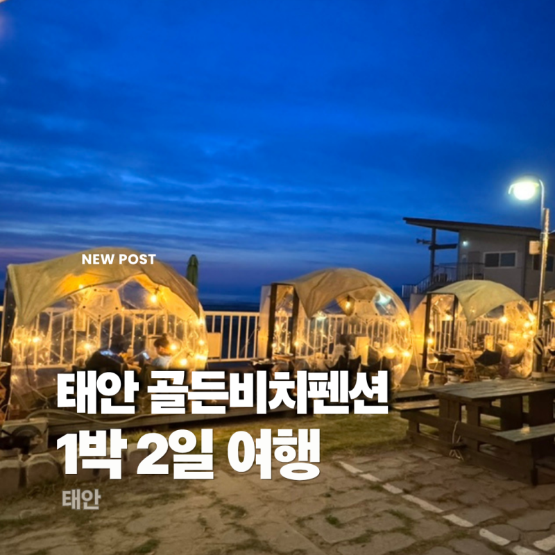 [태안 1박 2일 여행] 골든비치펜션: 이글루 돔 안에서 먹는 바베큐 펜션 솔직후기